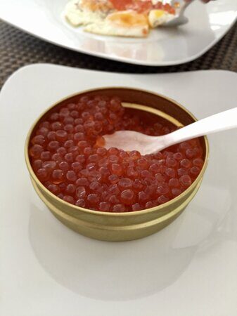 kak _vibrat_krasuiy_ikru_v_spb